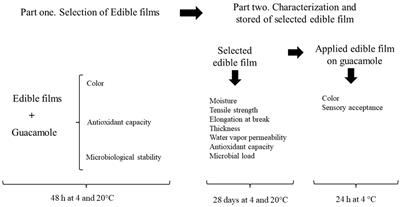 Developing active chitosan-based edible film for extending the shelf life of guacamole
